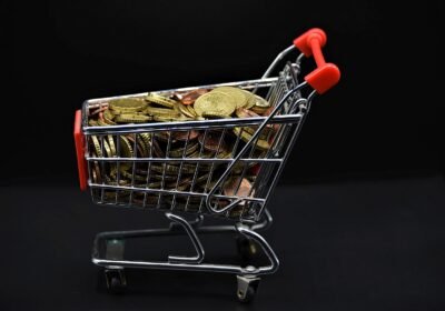 shopping-venture-5196890_1280